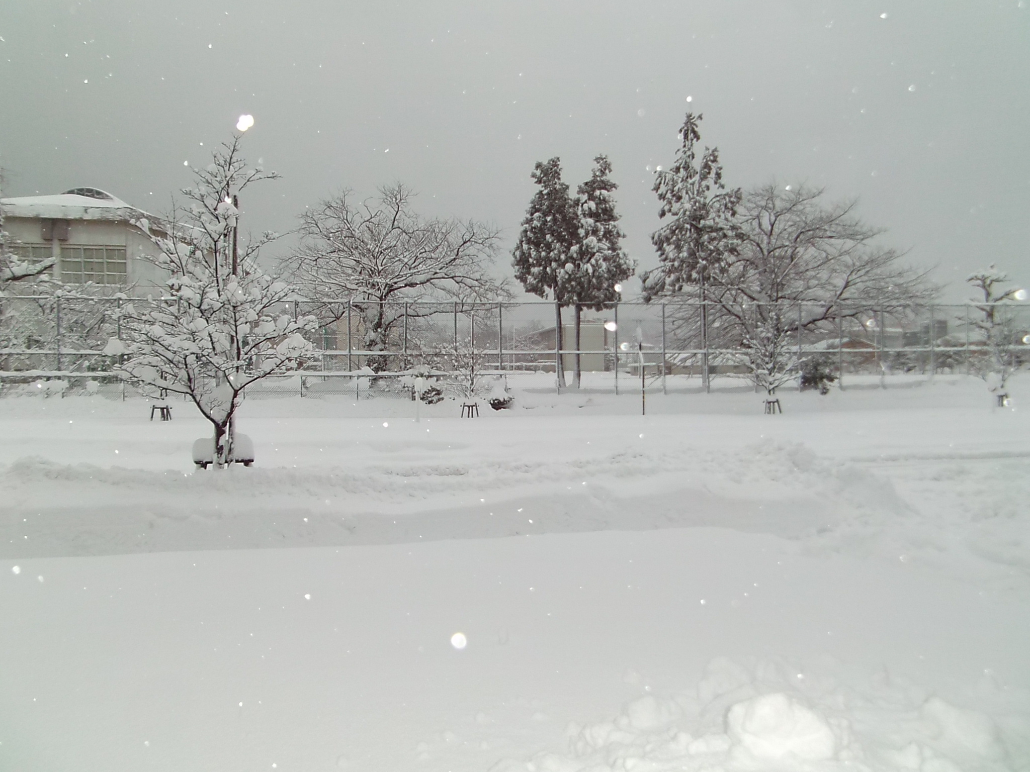 輪島は雪がすごいです。頑張って営業しています。